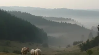Klenoty naší krajiny