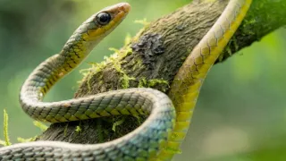 Posledné prírodné raje (3/6)