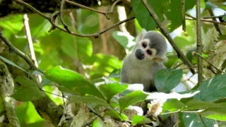 Posledné prírodné raje (3/6)