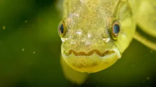 Posledné prírodné raje (3/6)