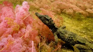 Posledné prírodné raje (3/6)