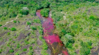 Posledné prírodné raje (3/6)