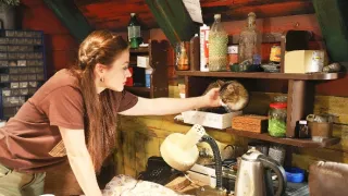 ZOO Nové začátky (136)