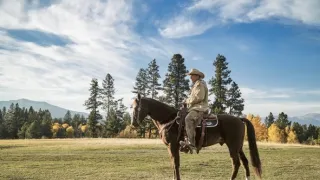 Yellowstone (1/9)