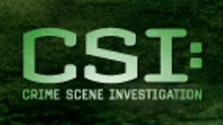 CSI: A helyszínelők VII (1)