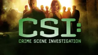CSI: A helyszínelők VII (1)