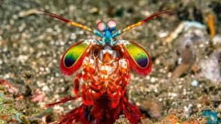 Zachyceno v pohybu (1)