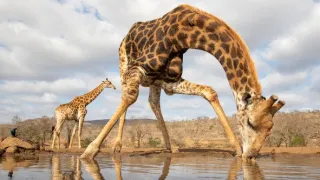 Zachyceno v pohybu (1)