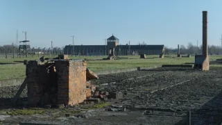 Hudba pod svastikou