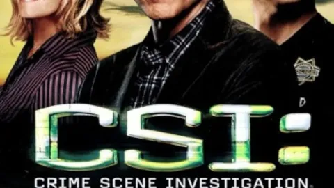C.S.I.: Kriminálka Las Vegas XIII (22/22)