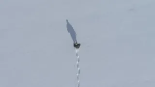 Znovuzrozená divočina Skalnatých hor: Od Yellowstonu k Yukonu (4/4)