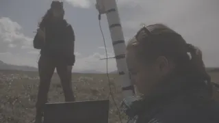 Znovuzrozená divočina Skalnatých hor: Od Yellowstonu k Yukonu (4/4)