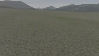 Znovuzrozená divočina Skalnatých hor: Od Yellowstonu k Yukonu (4/4)