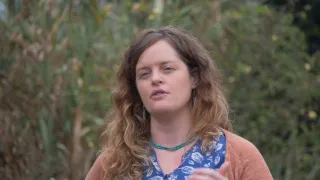 Zvířecí demokracie (2/2)