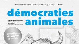 Zvířecí demokracie (2/2)