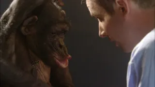 Šimpanz Ham astronautem