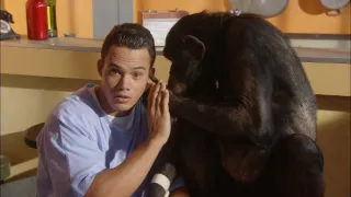 Šimpanz Ham astronautem