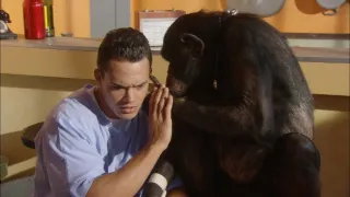Šimpanz Ham astronautem