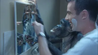 Šimpanz Ham astronautem