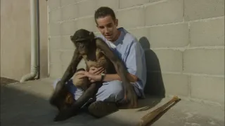 Šimpanz Ham astronautem