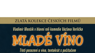 Mladé víno