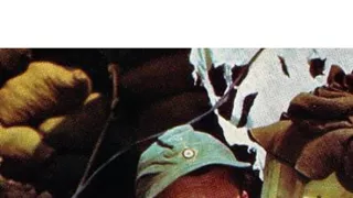 Konec války v barvě (1/5)