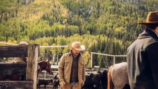 Yellowstone (3/9)