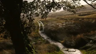 Na Větrné hůrce: Příběh lásky, nenávisti a pomsty