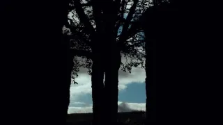 Na Větrné hůrce: Příběh lásky, nenávisti a pomsty