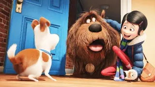 Tajný život mazlíčků