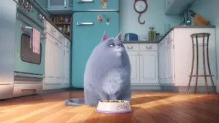 Tajný život mazlíčků