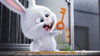 Tajný život mazlíčků