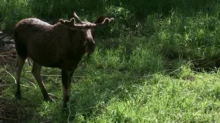 Národní parky Baltu (1)