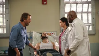 Dr. House VIII (7)