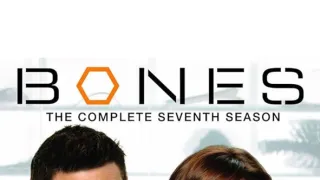 Sběratelé kostí VII (6)