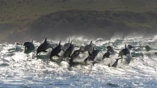 Hostina pod hladinou