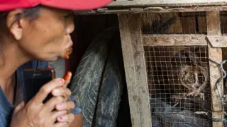 The Kukang Movie: Příběh o outloních a lidech