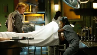 CSI: Miami helyszínelők VIII (1)