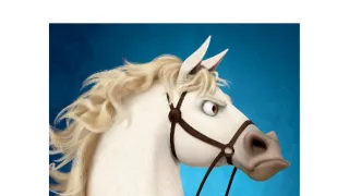 Aranyhaj: A sorozat (24)