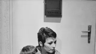 Zdravá vdova 29/169