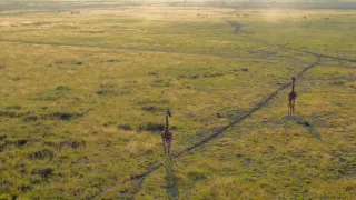 Afrika z výšky