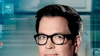 Bull: Súdny špecialista VI (14)