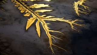 Řeka