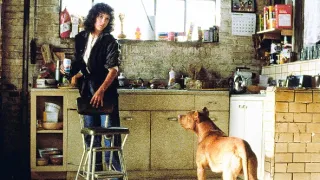 Flashdance