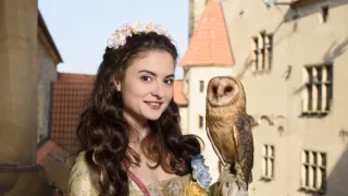 Princezná a pol kráľovstva