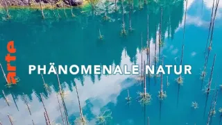 Poslední přírodní ráje II (1/3)