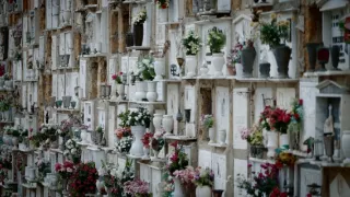 Násilie na ženách