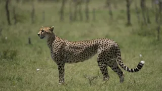 Rok na planetě Zemi (2/6)