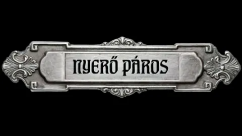 Nyerő páros IX (10)