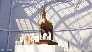 Leonardo da Vinci, všestranný umělec